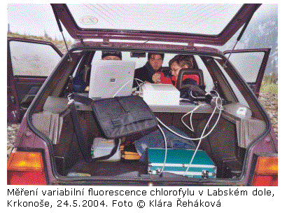 Textové pole:  
Měření variabilní fluorescence chlorofylu v Labském dole, Krkonoše, 24.5.2004. Foto © Klára Řeháková
