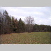 Host-009w.jpg