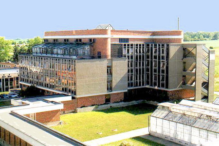 Institute of Entomology