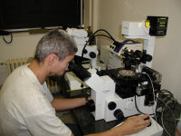 fluorescence microscope