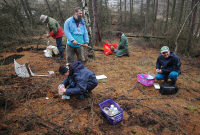 Soil zoological research at unrehabilitated spoil heaps in post-mining areas