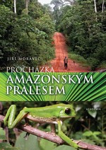 Procházka amazonským pralesem