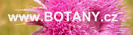 Botany.cz