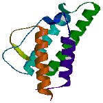 Cytokine