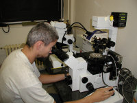 Fluorescenční mikroskop