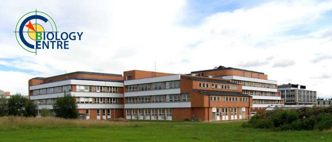 BC grounds, Branišovská street - west view