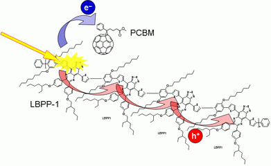 Schematics of early photo-initiated processes in polymer:electron-acceptor blends