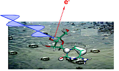 Direct and indirect radiation damage to DNA in aqueous solutions