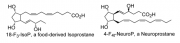 Jahn Ph D Topic Isoprostanes.png