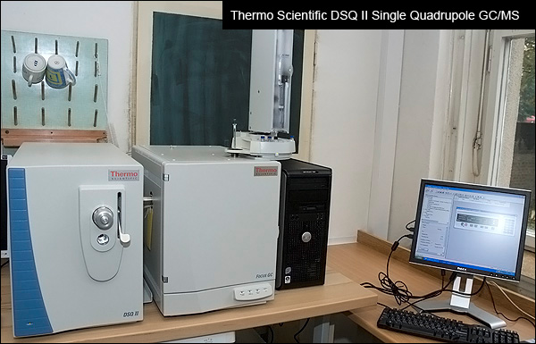 Thermo Scientific DSQ II Single Quadrupole GC/MS
