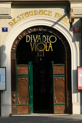 Viola
