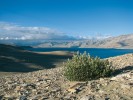 Jezero Tsomoriri. Ladak.  Foto M. Dvorský