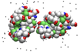 Hofmeister effects