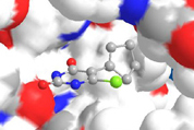 Thymidine phosphorylase docking