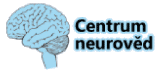 centrum-neuroved.png