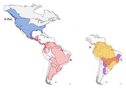 120619-Obr3_Host_Virus_Clade_distribution.jpg