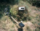Nástroje usnadňující dlouhodobý výzkum pokusných ploch s mravenci: detektory kovu k vyhledání mezníků čtverců nebo hliníkových plíšků  s čísly značených mravenišť. Foto P. Kovář