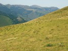 Horské pastviny bývají hustě pokryty hnízdními kupami mravenců nejen ve středoevropských pohořích, ale třeba  i na Pyrenejském poloostrově.  Španělská strana Pyrenejí. Foto P. Kovář