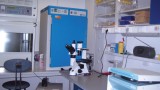 Monoclonal antibodies laboratory