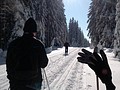 Náhodná fotka z fotogalerie
