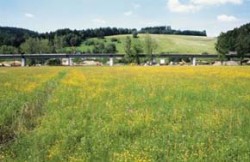 Pohled od Třebovky ukazuje nešetrné rozdělení lučního komplexu stavbu železničního nadjezdu. Foto P. Kovář