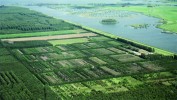 Plantáže rychle rostoucích lesních dřevin rozhodně neplní v krajině stejné funkce jako přirozené nebo alespoň  přírodě blízké lesy. Foto J. Meeus,  upraveno podle: B. Pedroli a kol. (2007)