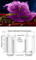 Immunomodulating agents