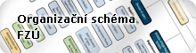 Organizační schéma FZÚ