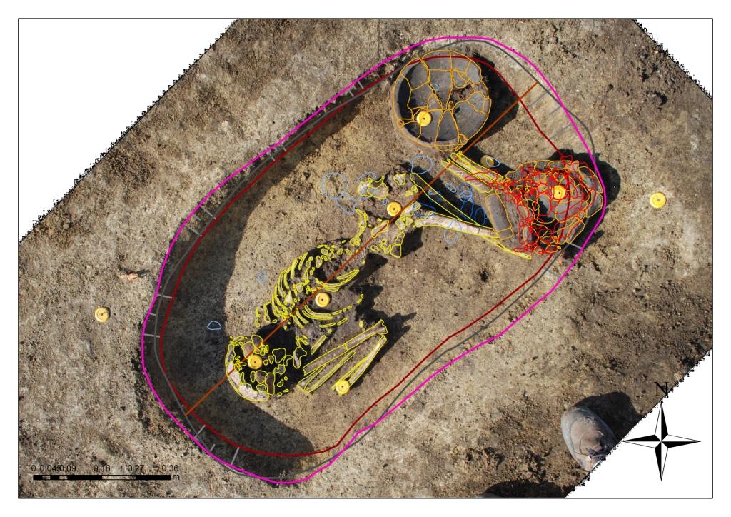 Ženský hrob kultury zvoncovitých pohárů  z pozdní doby kamenné odkrytý při záchranném výzkumu v Pasohlávkách. 