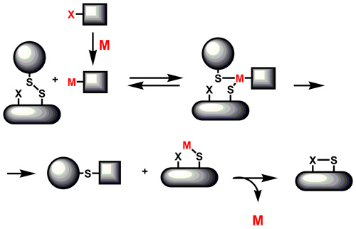 Disulfide chemistry