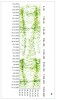 Graf aktivity jelena evropského  na Šumavě (jelen Vincek, 2005–06).  Svislá osa: měsíce, roky; vodorovná osa: hodiny dne. Barvy (třetí rozměr grafu): bílá zobrazuje nízkou aktivitu, odstíny zelené značí střední aktivitu, modrá a červená vysokou aktivitu. Graf ukazuje období nízké aktivity, kdy se jedinec  nacházel v přezimovací oboře, a vyšší aktivitu na jaře a v období říje. Orig. P. Šustr