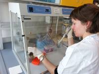 Isolace RNA pro detekci genové exprese ve sterilním PCR boxe