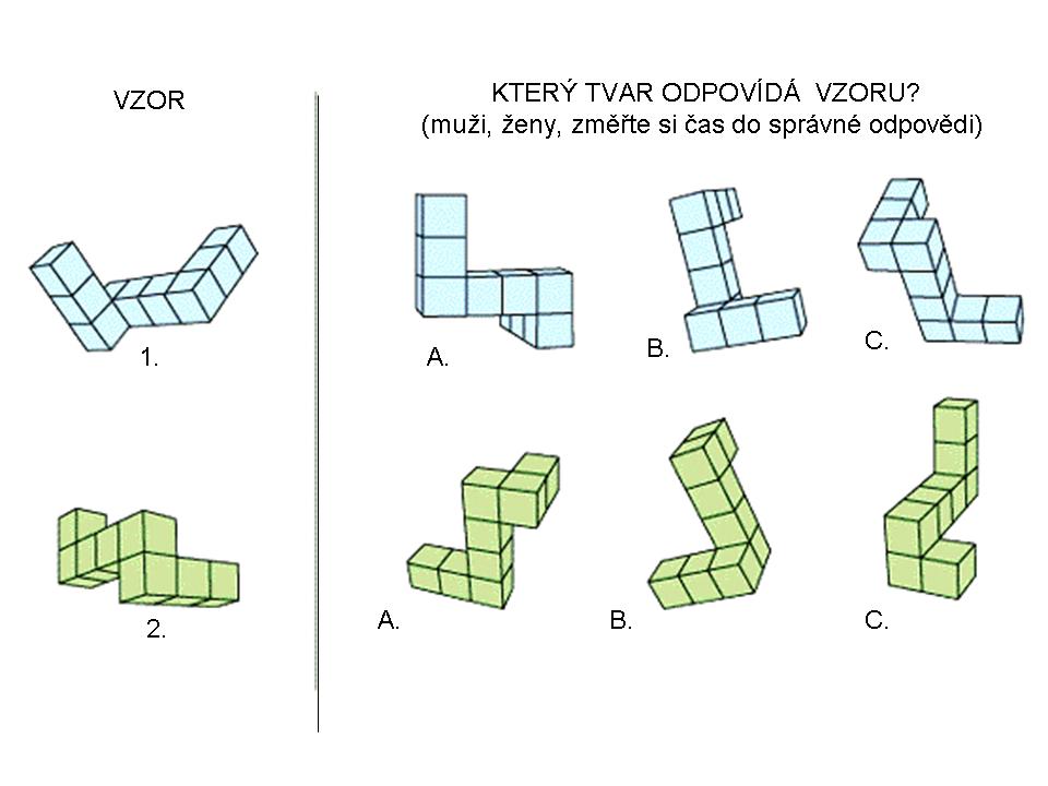 Mentální rotace tvaru