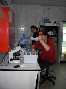 08_9.jpg