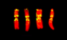 Chromosomal cytogetics