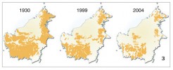 Areál orangutana bornejského (Pongo pygmaeus) zaznamenává úbytek jako přirozené lesy. Orig.: http://www.grida.no/ graphicslib/detail/orangutan-distribution-on-borneo-indonesia-malaysia_11d2  (se svolením autorů)