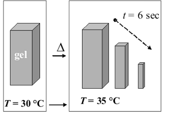 4.sekce-hydrogel.jpg