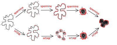 4.sekce-mechanismus.jpg