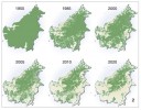 Odlesňování na Borneu od druhé poloviny 20. stol. Lesy se intenzivně těží a mnohde nahrazují plantážemi palmy olejné. Orig.: http://www.grida.no/gra­phicslib/­detail/extent-of-deforestation-in-borneo-1950-2005-and-projection-towards-2020_119c (se svolením autorů)
