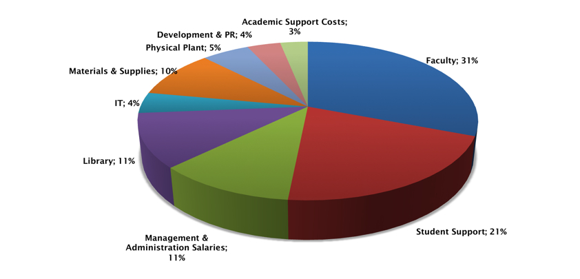 Pie chart show CERGE-EI expenses