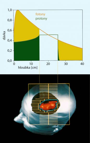 140115-pet-nej-podle-physics-world.jpg