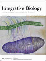 Interactive Biology Interactive Biology