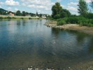 Dolní tok Labe stále ještě obývá  nepočetná populace tohoto vzácného mlže. Foto L. Beran