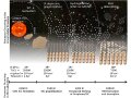 /sys/galerie-obrazky/news-2014/140122-nova-teorie-vzniku-uhlovodikovych-molekul-v-mezihvezdnem-prostoru.jpg