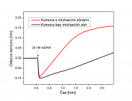 Zvýšení odezvy SPR biosenzoru na 20nM DNA dosažené použitím mikrofluidní komory s pasivními míchacími zónami.