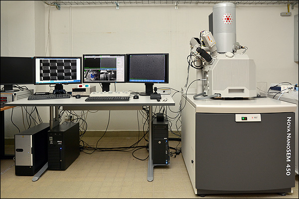 FEI Nova NanoSEM 450