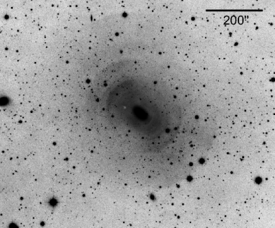 Slupková galaxie NGC3923 s dobře viditelnou sadou obloukových slupek. (c) David Malin, Australian Astronomical Observatory.