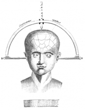 elements-of-phrenology_george-combe.png?