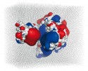 Síla přitažlivosti aneb protiklady se přitahují. Vizualizace elektrostatických potenciálů přibližujících se enzymů cytochromu P450 1A2 (vpravo)  a cytochromu b5 (vlevo).  Negativně a pozitivně nabité oblasti  proteinů jsou znázorněny červeným, resp. modrým povrchem. Bíle jsou  zbarveny oblasti s elektroneutrálním  charakterem. Siločáry ukazují tvar  zakřivení elektrostatického pole  mezi opačně nabitými částmi proteinů.  Přibližování proteinů bylo simulováno metodou molekulové dynamiky.  Orig. P. Jeřábek
