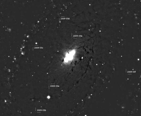 Zpracovaný snímek galaxie M 81 s označenými polohami nov objevených Kamilem Hornochem 5. května 2009. Dvojice úseček směřuje vždy k pozici novy. 